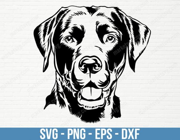 Labrador SVG Files For Cricut, Cute Face Head SVG Silhouette Cameo, Dog Clipart Yellow Lab Breed Vector, Printable SVG Download Shirt Svg, Free
