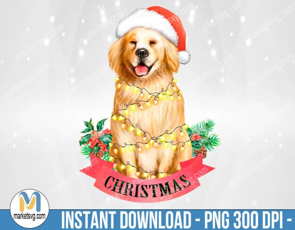 Christmas Labrador PNG, Dog, Santa Hat, Sublimation Png, Sublimation, PNG File, PNG, CP477