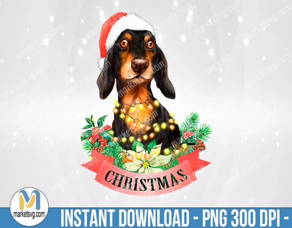 Christmas Dachshund PNG, Dog, Santa Hat, Sublimation Png, Sublimation, PNG File, PNG, CP478