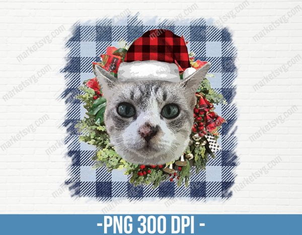 Merry Christmas Cat PNG, Merry Christmas, Christmas Tree Png, Cat PNG, Ornament Png, Christmas Cat, Sublimation Design,Digital Download, CP57
