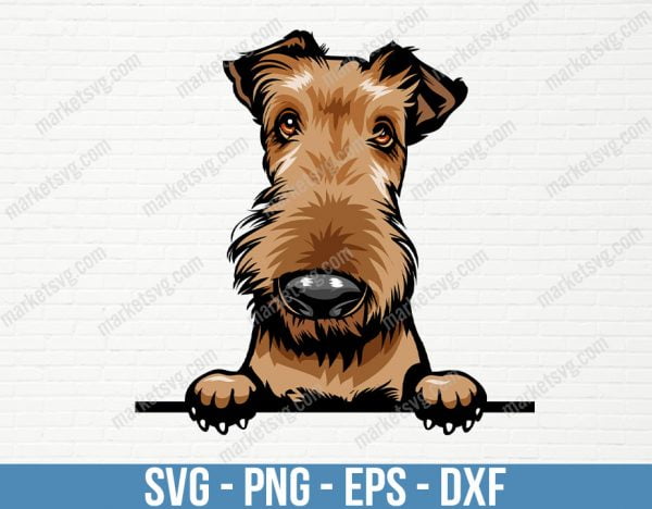 Airedale Dog Peeking Peek-A-Boo, Happy Breed, Puppy Animal Pet Pedigree Purebred Color Art Artwork Fox Terrier Logo, PD1