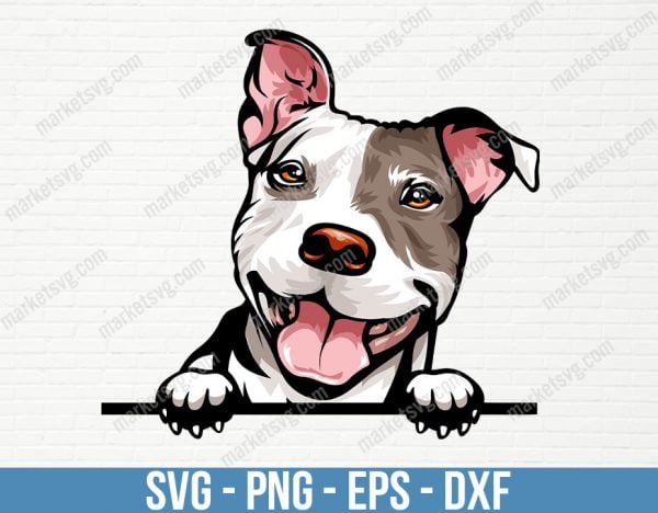 Pit Bull Dog Breed Peeking Peek-A-Boo Puppy Animal Pet Pedigree Purebred Canine Art Artwork Color Logo SVG PNG Clipart Vector Cut Cutting, PD14