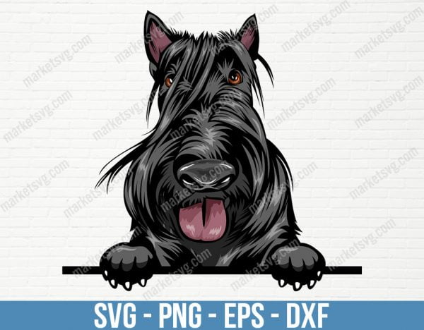 Scottish Terrier Dog Peeking Peek-A-Boo Breed Puppy Animal Pet Pedigree Purebred Canine Art Color Logo SVG, PD19