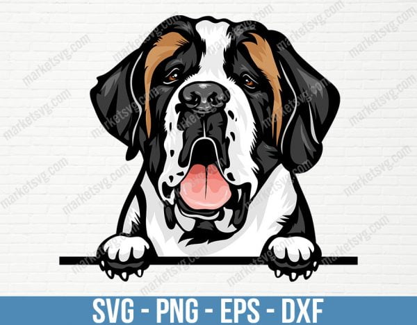 Saint Bernard Dog Breed Peeking Peek-A-Boo Puppy Animal Pet Happy Pedigree Purebred Artwork Color Logo SVG, PD22