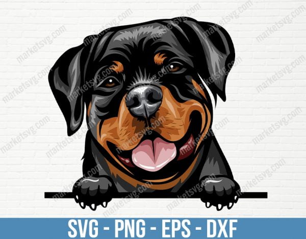Rottweiler Dog Breed Peeking Peek-A-Boo Smiling Puppy Animal Pet Smile Happy Hound Color Rotty Art Artwork Logo, PD23