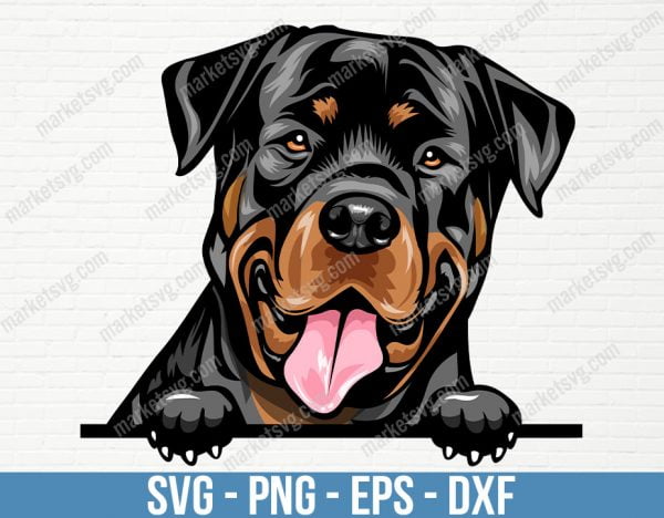 Rottweiler Dog Breed Peeking Peek-A-Boo Smiling Puppy Animal Pet Smile Happy Hound Color Rotty Art Artwork Logo, PD24