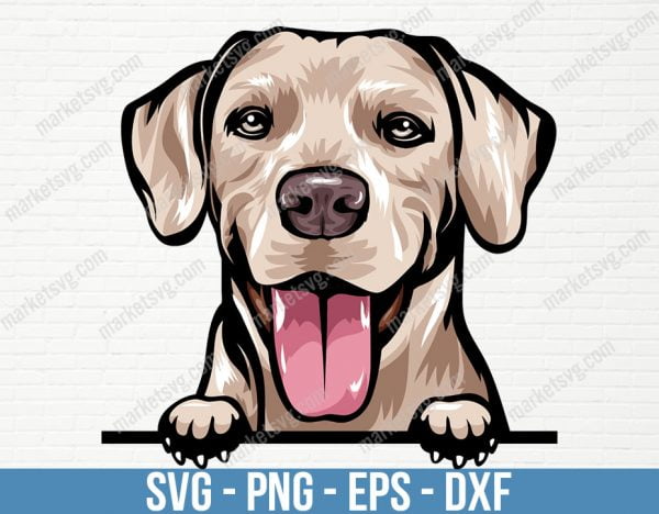 Rhodesian Ridgeback Dog Breed Peeking Peek-A-Boo Pedigree Canine Purebred K9 Pet Hound Animal Design Logo SVG, PD25