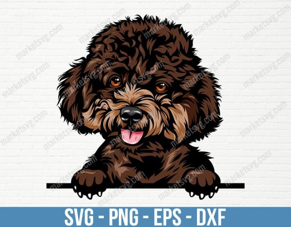 Poodle Dog Breed Peeking Peek-A-Boo Puppy Animal Pet Happy Pedigree Purebred Canine Artwork Color Logo SVG, PD29