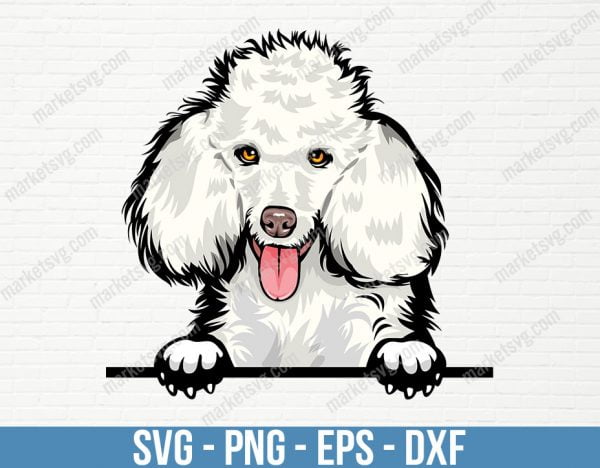 Poodle Dog Breed Peeking Peek-A-Boo Puppy Animal Pet Happy Pedigree Purebred Canine Artwork Color Logo SVG, PD30