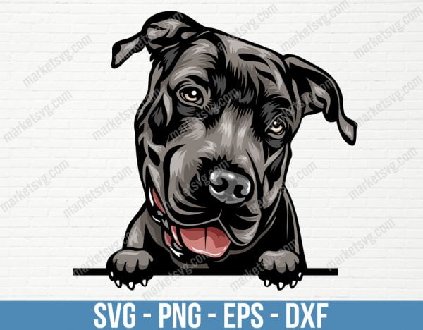 Pit Bull Dog Peeking Peek-A-Boo Breed Happy Face Puppy Animal Pet Color Artwork American Terrier Pitbull Design Logo , PD36