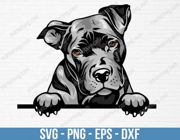 Pit Bull Dog Peeking Peek-A-Boo Breed Happy Face Puppy Animal Pet Color Artwork American Terrier Pitbull Design Logo , PD38