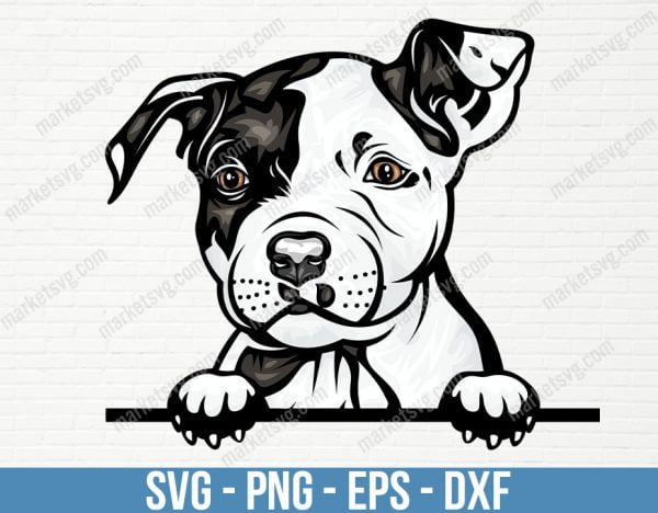 Pit Bull Dog Peeking Peek-A-Boo Breed Happy Face Puppy Animal Pet Color Artwork American Terrier Pitbull Design Logo , PD39