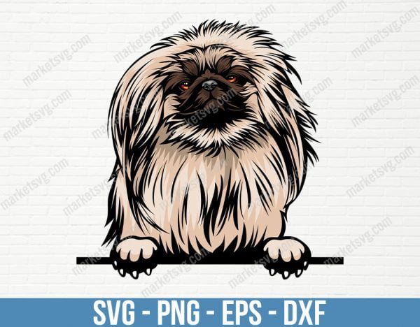 Pekingese Dog Peeking Peek-A-Boo Breed Head Face Happy Puppy Animal Pet Hound Color Shih Tzu Pug Art Artwork Logo, PD42