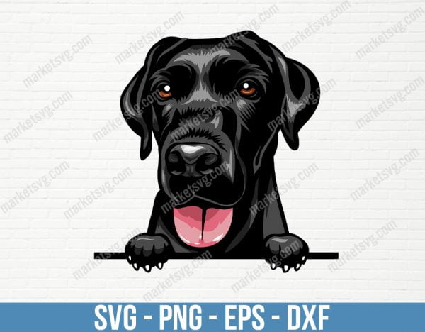Labrador Dog Peeking Peek-A-Boo Breed Happy Face Puppy Animal Pet Color Artwork Golden Retriever Lab Hunting Logo, PD48