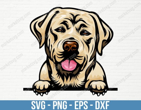 Labrador Retriever, Peeking Smiling Dog Breed Animal Pet Puppy Paws Canine Pedigree Logo, PNG Clipart Vector Cricut Cut Cutting, PD49