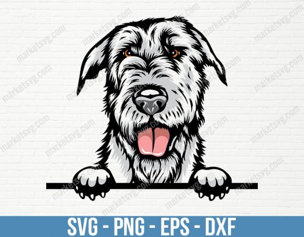 Irish Wolfhound Dog Peeking Peek-A-Boo Breed Happy Smiling Puppy Animal Pet Color Artwork Scottish Deerhound, PD51