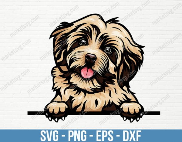 Havanese Dog Breed Peeking Peek-A-Boo Puppy Animal Pet Hound Pedigree Purebred Canine Artwork Color Logo, Cut Cutting, PD53