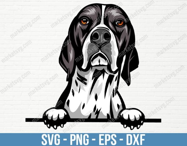 English Pointer Dog Peeking Peek-A-Boo Breed Happy Head Puppy Animal Pet Color Artwork German Hunting Design Logo, PD61