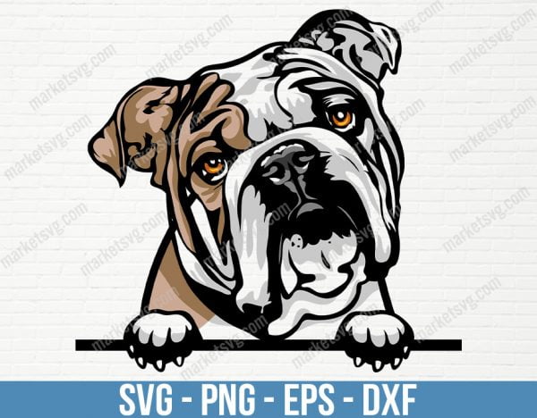 English Bulldog Dog Peeking Peek-A-Boo Breed Happy Puppy Animal Pet Color Artwork American Bull Mastiff Design Logo, PD62