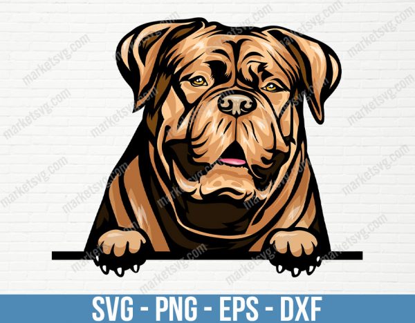 Dogue De Bordeaux Dog Peeking Peek-A-Boo Breed Happy Puppy Animal Pet Color Artwork Bull Mastiff Bulldog Design Logo PNG SVG Clipart, PD64