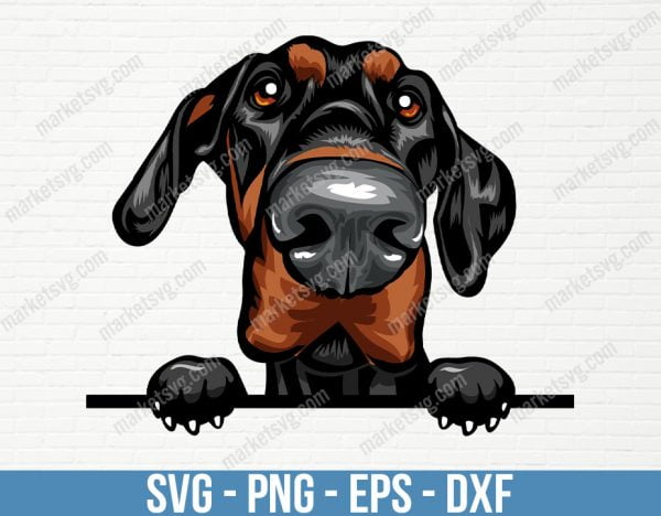 Doberman Pinscher Dog Peeking Peek-A-Boo Breed Happy Puppy Animal Pet Color Artwork Hound Dobermann Dobe Design, PD65