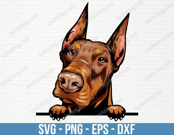 Doberman Pinscher Dog Peeking Peek-A-Boo Breed Happy Puppy Animal Pet Color Artwork Hound Dobermann Dobe Design Logo, PD66