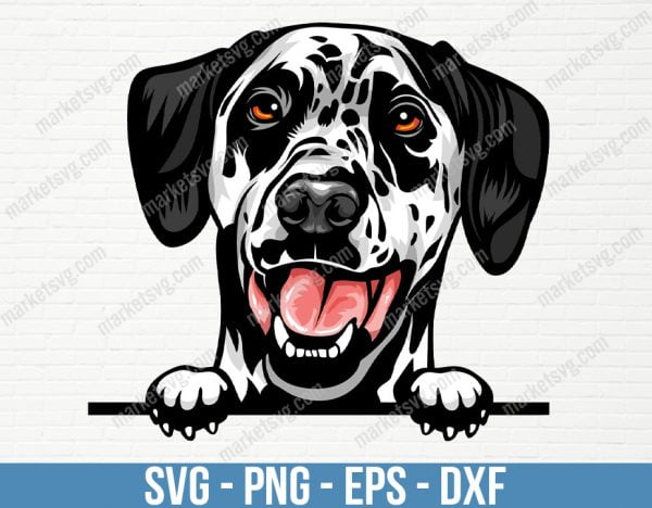 Dalmatian Dog Peeking Peek-A-Boo Breed Happy Face Puppy Smile Animal Firefighter Pet Color Artwork Design, PD67