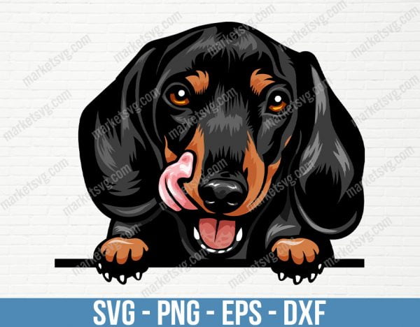 Dachshund Dog Breed Peeking Peek-A-Boo Happy Face Puppy Animal Pet Color Artwork Hound Wiener Hot Dog, PD68