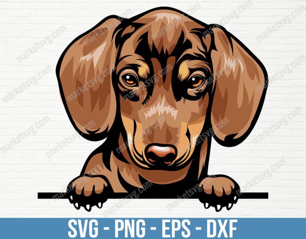 Dachshund Dog Breed Peeking Peek-A-Boo Happy Face Puppy Animal Pet Color Artwork Hound Wiener Hot Dog Design, PD69
