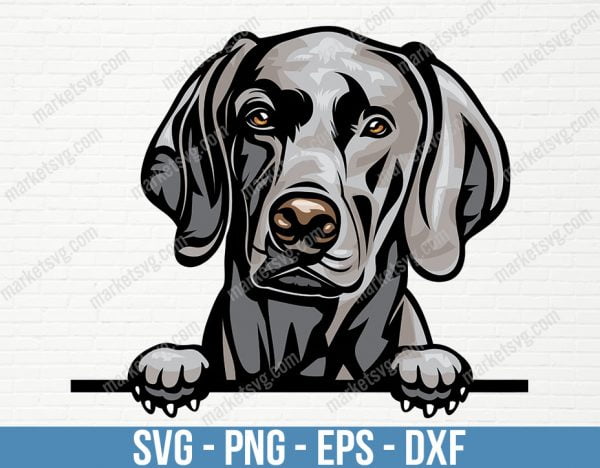 Weimaraner Dog Breed Peeking Peek-A-Boo Puppy Animal Pet Pedigree Purebred Canine Pup Artwork Color Logo SVG PNG Clipart Vector, PD7
