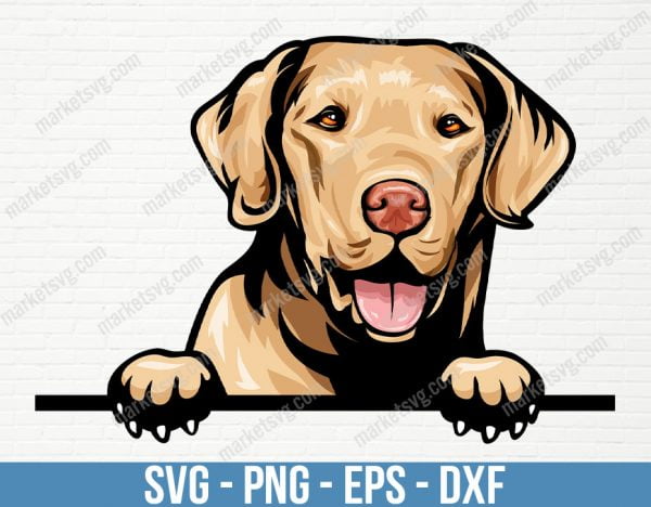 Chesapeake Bay Retriever Dog Breed Peeking Peek-A-Boo Happy Face Puppy Animal Pet Color Artwork Design, PD77