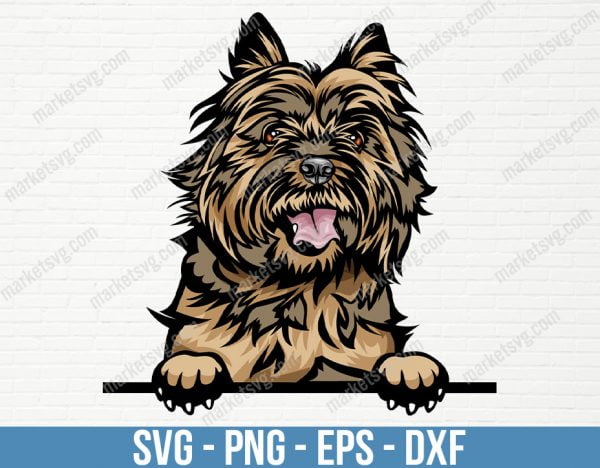 Cairn Terrier Dog Peeking Peek-A-Boo Breed Happy Puppy Face Pup Smile Animal Pet Color Art Artwork Design Logo, PD79