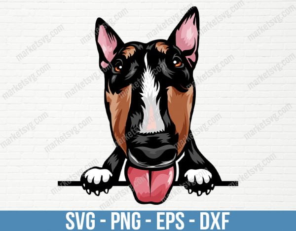 Bull Terrier Dog Peeking Peek-A-Boo Breed Happy Puppy Face Pup Smile Animal Pet K-9 Color Art Artwork Design, PD80
