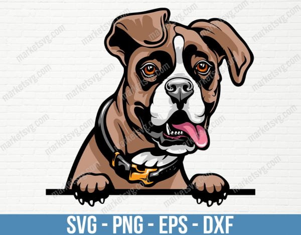 Boxer Dog Breed Peeking Peek-A-Boo Happy Face Puppy Animal Pet Pedigree Pit Bull Terrier Color Artwork Design, PD83