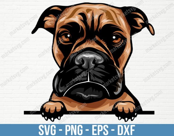 Boxer Dog Breed Peeking Peek-A-Boo Happy Face Puppy Animal Pet Pedigree Pit Bull Terrier Color Artwork Design, PD84