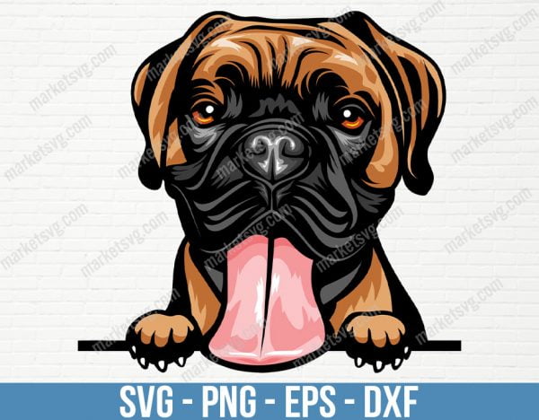 Boxer Dog Breed Peeking Peek-A-Boo Happy Face Puppy Animal Pet Pedigree Pit Bull Terrier Color Artwork Design, PD85