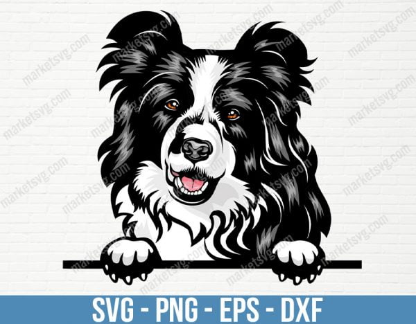 Border Collie Dog Peeking Peek-A-Boo Breed Happy Paw Puppy Pup Pet Art K9 Cattle Australian Shepherd Logo, PD89