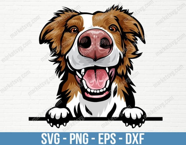 Border Collie Dog Peeking Peek-A-Boo Breed Happy Face Puppy Animal Pet Color Art Australian Shepherd Design, PD90