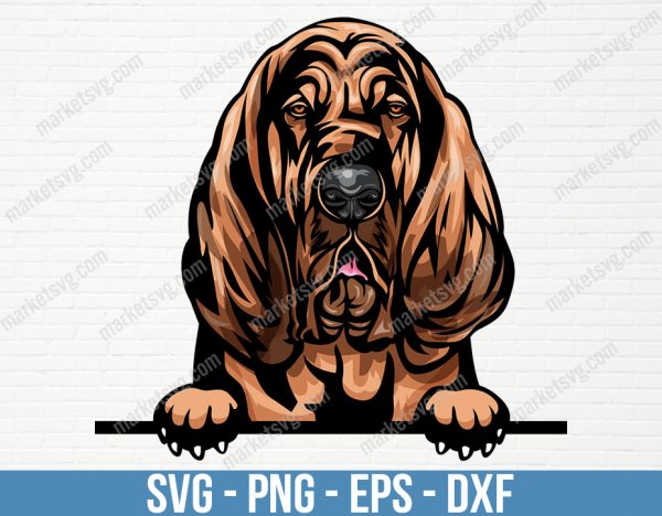 Bloodhound Dog Peeking Peek-A-Boo Breed Happy Face Puppy Animal Pet Canine Color Art Artwork Basset Design, PD91