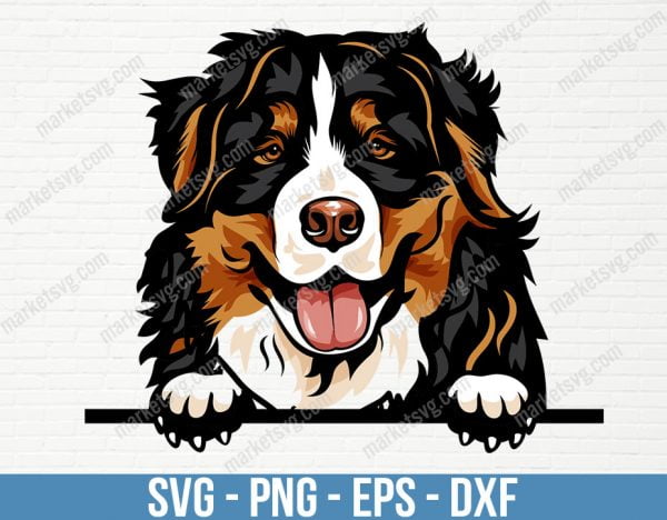 Bernese Mountain Dog Peeking Peek-A-Boo Breed Happy Face Puppy Animal Pet Canine Color Art Artwork Design, PD92