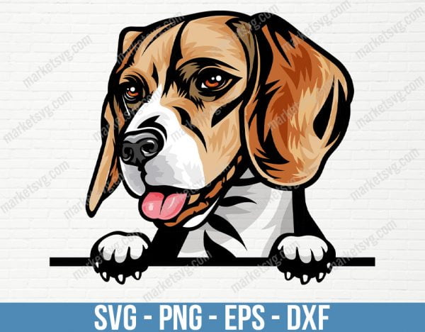 Beagle Dog Breed Peeking Peek-A-Boo Face Puppy Animal Pet Pedigree Purebred Canine Color Art Artwork Harrier, PD93