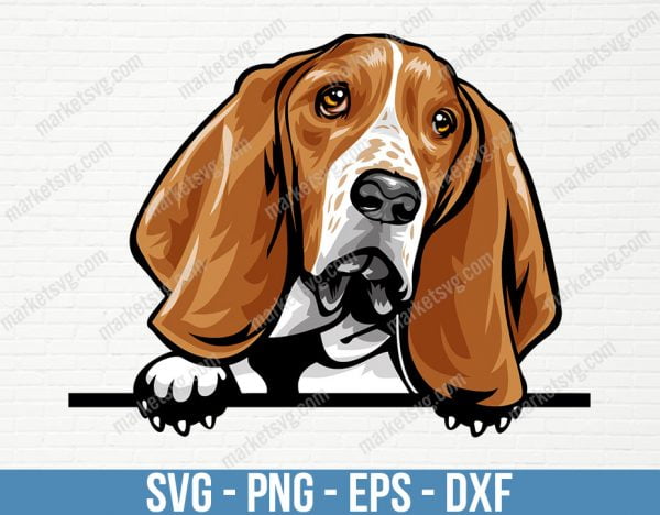 Basset Hound Dog Peeking Peek-A-Boo Breed Happy Face Puppy Animal Pet Pedigree Color Art Artwork Beagle Design, PD94