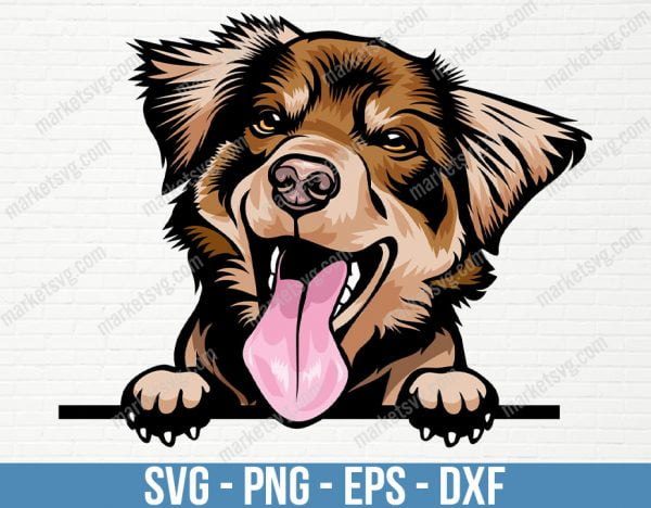 Australian Shepherd Aussie Dog Peeking Peek-A-Boo Breed Happy Face Puppy Animal Pet Pedigree Design Logo PNG, PD95