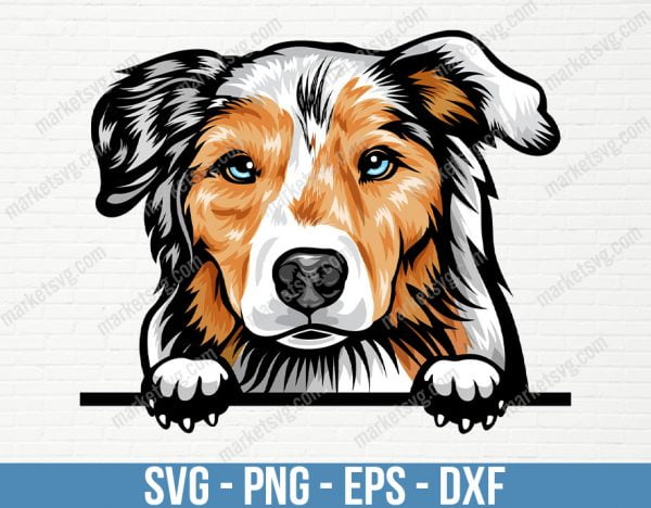 Australian Shepherd Aussie Dog Peeking Peek-A-Boo Breed Happy Face Puppy Animal Pet Pedigree Design Logo PNG, PD96