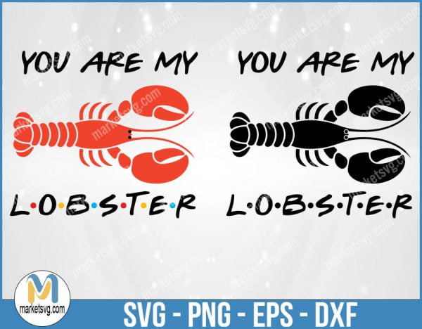 You Are My Lobster, Friends SVG, Friends TV Show SVG, Cricut Silhouette, Friends Font, Friends Quote Clipart, FI52