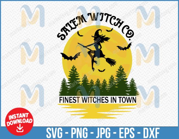 Salem Witch SVG, Witch SVG, Salem Witch Co Svg, Broom SVG, Halloween Svg Files, Halloween Svg for Shirts, Halloween Svg for Signs